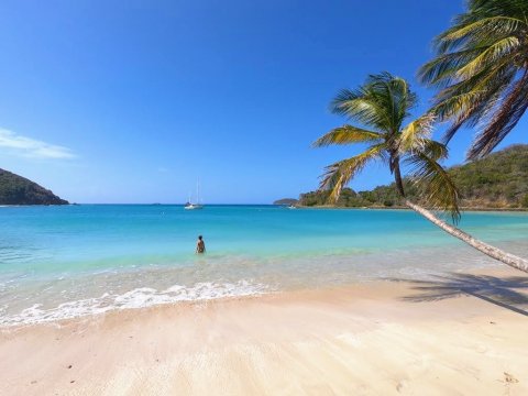 Les Grenadines: un paradis bien fragile