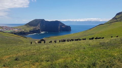 Des Açores à la Bretagne