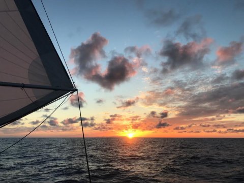 Transat retour: 19 jours et 15h sur l'océan