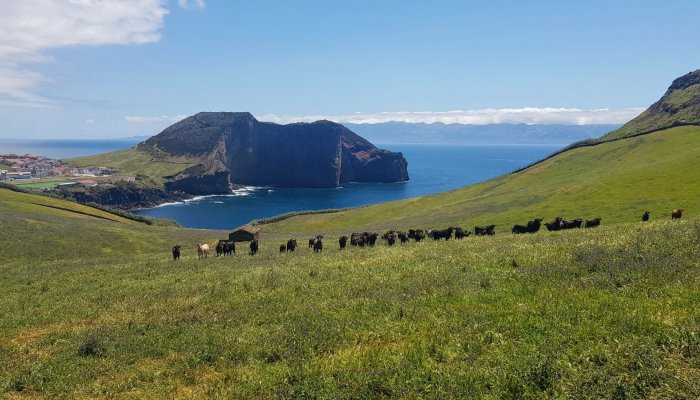 Des Açores à la Bretagne