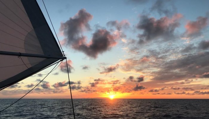 Transat retour: 19 jours et 15h sur l'océan