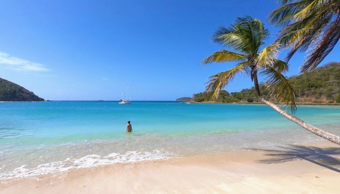 Les Grenadines: un paradis bien fragile